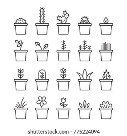 Set floral plants and blooming cactus in pots isolated on white background circuit vector illustration. Lot flowering plants and cacti on white background vector image