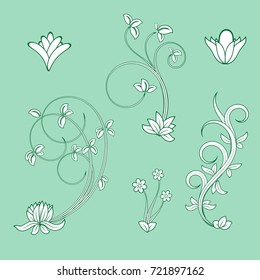 set of floral resources for compositions and designs on green background

