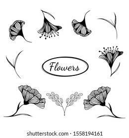 Set of floral sketch black and white flowers. A set of drawings. Abstract flower illustration. Hand drawing vector art.