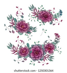 Set of floral succulents compositions in hand draw style. Composition of plant and branches. Vintage elements for invitations, greeting cards, covers and other items.