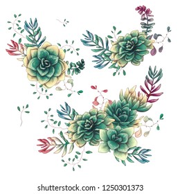 Set of floral succulents compositions in hand draw style. Composition of plant and branches. Vintage elements for invitations, greeting cards, covers and other items.