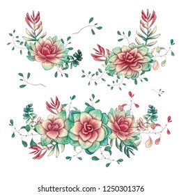 Set of floral succulents compositions in hand draw style. Composition of plant and branches. Vintage elements for invitations, greeting cards, covers and other items.