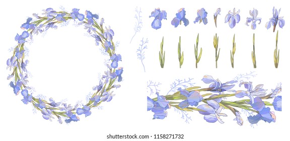 Set of floral template, seamless pattern and irises isolated on white. For design gift boxes, announcements, postcards, posters, invitations