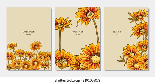 Set of floral template with yellow and red gazania flower. Botanical illustration with sunflowers on beige background. Design elements with treasure flower