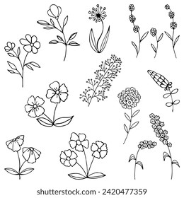 Set of floral tree branches, flowers, leafs, plants. Decorative elements for decoration. Hand drawing doodles of vector vintage botanical elements.  Line art. Botanic outline pencil sketch draw