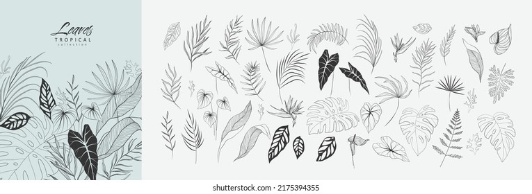 Set of Floral tropical branch of palm and leaves in silhouette and line style. Hand drawn elegant exotic leaves for invitation save the date card design. Botanical trendy greenery vector