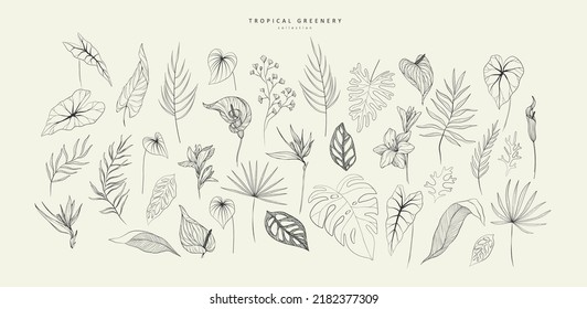 Set of Floral tropical branch of palm and leaves in silhouette and line style. Hand drawn elegant exotic leaves for invitation save the date card design. Botanical trendy greenery vector