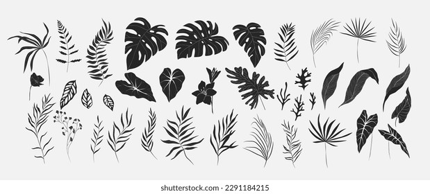 Set of Floral tropical branch of palm and flowers in silhouette and line style. Hand drawn elegant exotic leaves for invitation save the date card design. Botanical trendy