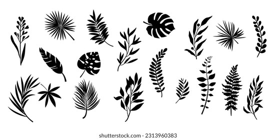 Set of Floral tropical branch of palm and flowers in silhouette and line style. Hand drawn elegant exotic leaves for invitation save the date card design. Botanical trendy