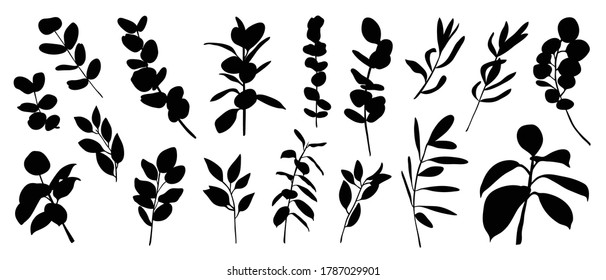 Set of floral vector elements. Tropical green leaves. Shadow leaves branches set. Design for wedding invitation, print, Summer exotic flora, ads and wallpaper. 