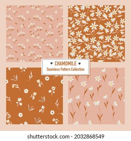 Set of Floral Vector Seamless Pattern With chamomile flowers. Good for print, wallpaper and fashion. 