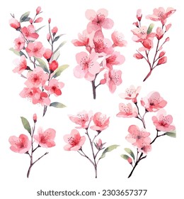 Set of floral watecolor. Sakura blossom flower and leaves. Floral poster, invitation floral. Vector arrangements for greeting card or invitation design