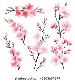 Set of floral watecolor. Sakura blossom flower and leaves. Floral poster, invitation floral. Vector arrangements for greeting card or invitation design