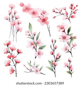 Set of floral watecolor. Sakura blossom flower and leaves. Floral poster, invitation floral. Vector arrangements for greeting card or invitation design