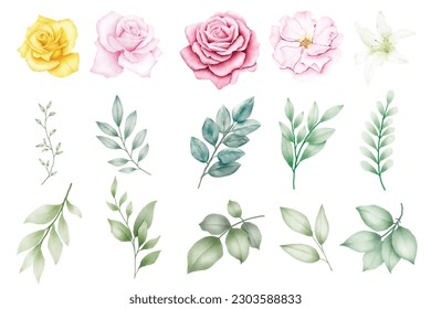 Set of floral watercolor elements