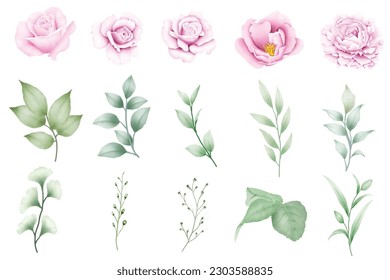 Set of floral watercolor elements