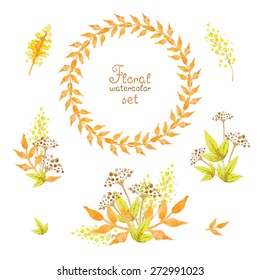 Set of floral watercolor elements