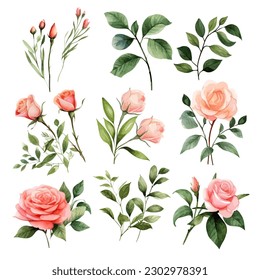 Set of floral watercolor. Flower pink rose, green leaves. Floral poster, invitation floral. Vector arrangements for greeting card or invitation design