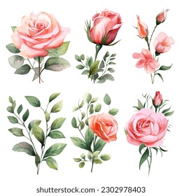 Set of floral watercolor. Flower pink rose, green leaves. Floral poster, invitation floral. Vector arrangements for greeting card or invitation design