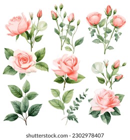 Conjunto de acuarela floral. Rosa rosada flor, hojas verdes. Afiche floral, invitación floral. Disposiciones de vectores para el diseño de tarjetas de felicitación o invitaciones