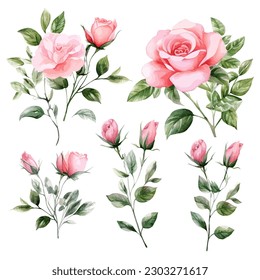 Set of floral watercolor. Flower pink rose, green leaves. Floral poster, invitation floral. Vector arrangements for greeting card or invitation design