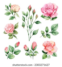 Conjunto de acuarela floral. Rosa rosada flor, hojas verdes. Afiche floral, invitación floral. Disposiciones de vectores para el diseño de tarjetas de felicitación o invitaciones