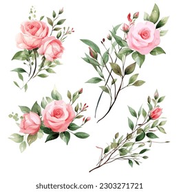 Set of floral watercolor. Flower pink rose, green leaves. Floral poster, invitation floral. Vector arrangements for greeting card or invitation design