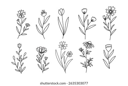 Set of Floral and Wild Flowers. Hand drawn botanical elements. Vector illustration