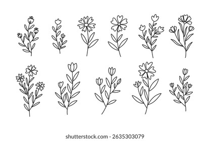Set of Floral and Wild Flowers. Hand drawn botanical elements. Vector illustration