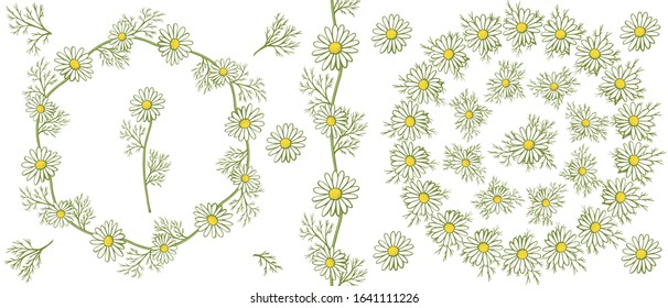 Set of floral wreaths and seamless brush of medicinal chamomile. Round frames, patterns with delicate white healing flowers. Seasonal set. For cards, congratulations, various designs, labels.