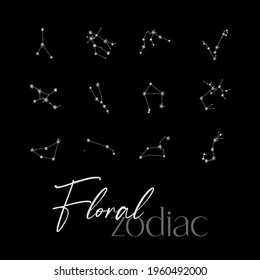 Set of floral zodiac constellations : Aries, Taurus, Gemini, Cancer, Leo, Virgo, Libra, Scorpio, Sagittarius, Capricornus, Aquarius, Pisces. Line zodiac vector. Tattoo style.