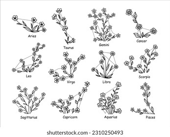 Set of floral zodiac constellations. Collection of stellar bodies and luminaries. Zodiac sign of with glowing lines and flowers. Star chart. Astrological. Vector illustration for planetarium.