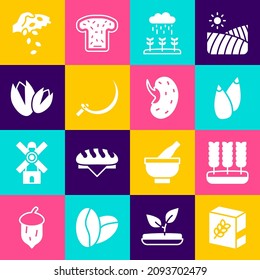 Set Flour pack, Wheat, Seed, Plant sprouts grow in the rain, Sickle, Pistachio nuts,  and  icon. Vector