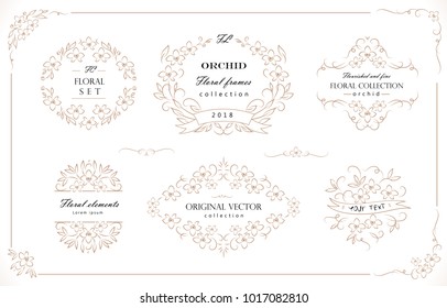 Set of flourish frames, borders, labels. Collection of original floral design elements. Vector calligraphy swirls, swashes, ornate motifs and corners. 