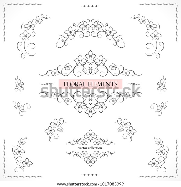 Set of flourish frames, borders, labels.\
Collection of original floral design elements. Vector calligraphy\
swirls, swashes, ornate motifs and\
corners.