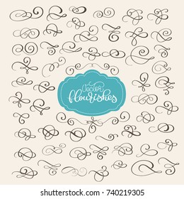 set of Flourish swirl ornate decoration for pointed pen ink calligraphy style. Quill pen flourishes. For calligraphy graphic design, postcard, menu, wedding invitation, romantic style. vector