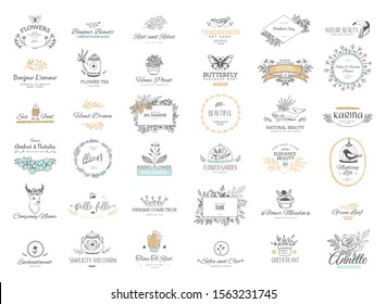 Set of flourishes calligraphic ornaments and frames. Retro and modern style of design elements, signs and logos. Vector template. Collection patterns.