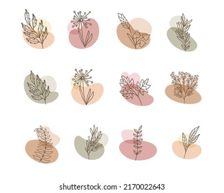 Set of flower boho abstract shape with leaves ornaments
