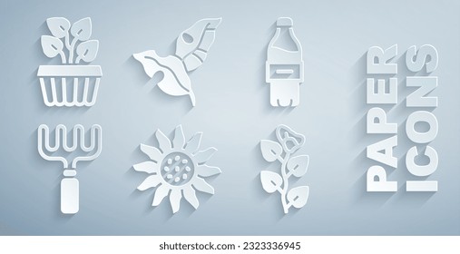 Set Flower, Bottle of water, Garden rake, Ivy branch, Tropical leaves and Indoor plant ivy in pot icon. Vector