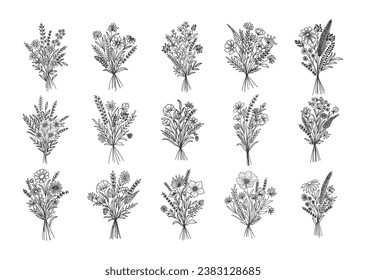 Set of flower bouquet vector. Hand drawn flower. Wildflower line art bouquets set, wild plant, botanical vector illustration