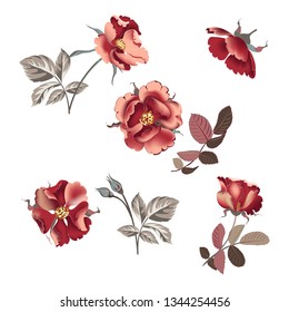Set of flower bouquets beautiful burgundy rose and leaves. Collection rosebuds, design elements isolated on white background. Vector illustration