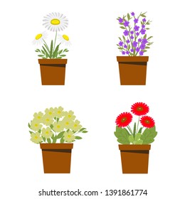 Set of flower bouquets, potted flowers, chamomile, flowers and leaves, white background, vector illustration