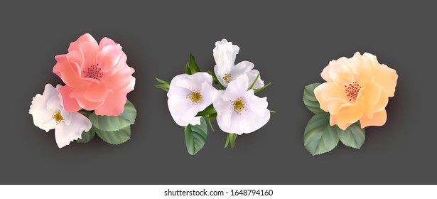 Set of flower bouquets. Vector Botanical illustration