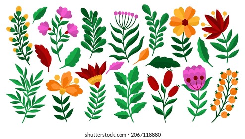 Set flower bud cartoon style.Isolated in white background.Collection floral plant.Vector illustration.