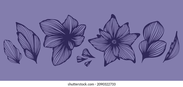 A set of flower buds of lilies in a thin line art. Graphic vector illustration of plants hand drawn on colored background very peri. Doodle style contour image.