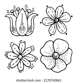 Set of flower buds line art. Wildflowers, chamomile, daisy, tulip, lily. Wild meadow plant. Summer flowers. Hand drawn vector black and white doodle illustration. simple outline element.