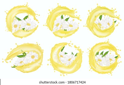 Set flower chamomile with water splash. Blooming chamomile of six groups for beauty products, teas, perfumes, essential oils and medicines. Set chamomile. Fragrant beautiful chamomile. Vector