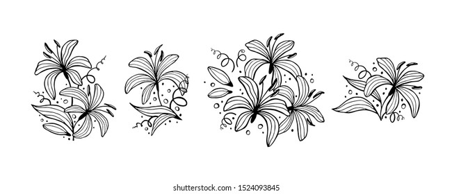 Set of flower compositions. Floral drawing with line-art, isolated on white background. Eps10 vector set.