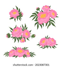 Set of flower compositions. Pink peonies with green leaves. Vector romantic garden illustration. Botanical collection for wedding invitation, patterns, wallpapers, fabric, wrapping