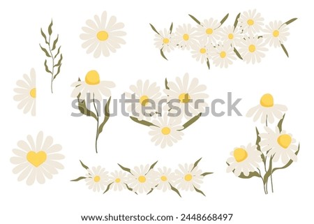 Set flower daisy floral decorations. Cute stickers, collection flowers petals, blossom with stem and leaves.